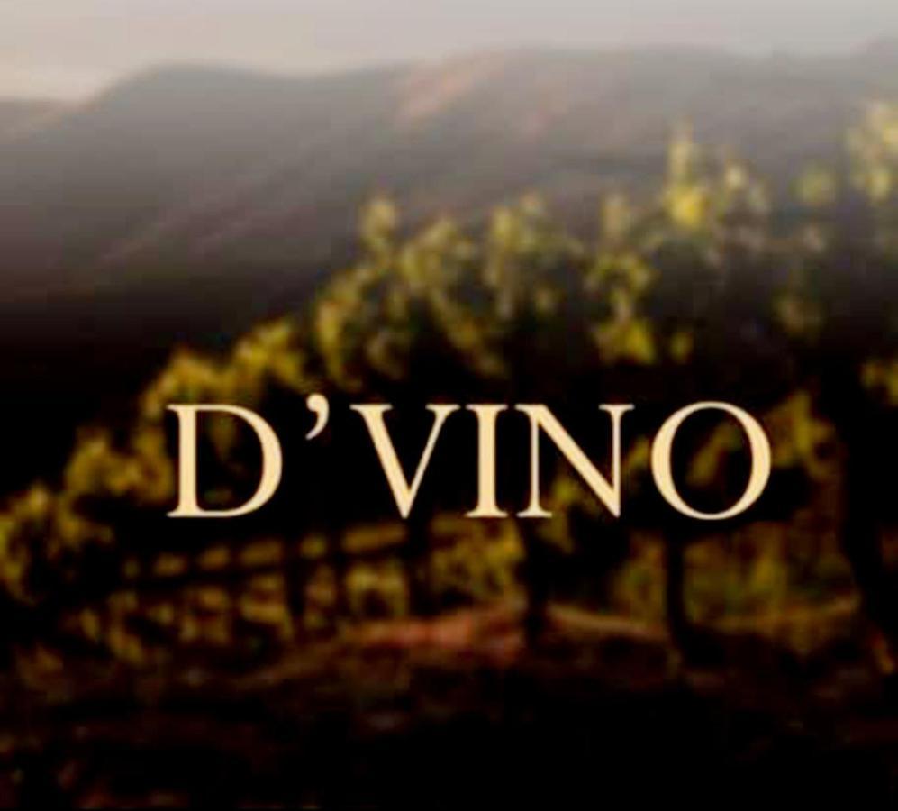 D'Vino Valle De Guadalupe Hotel Ensenada Exterior photo